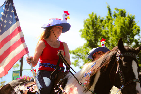 Horses1