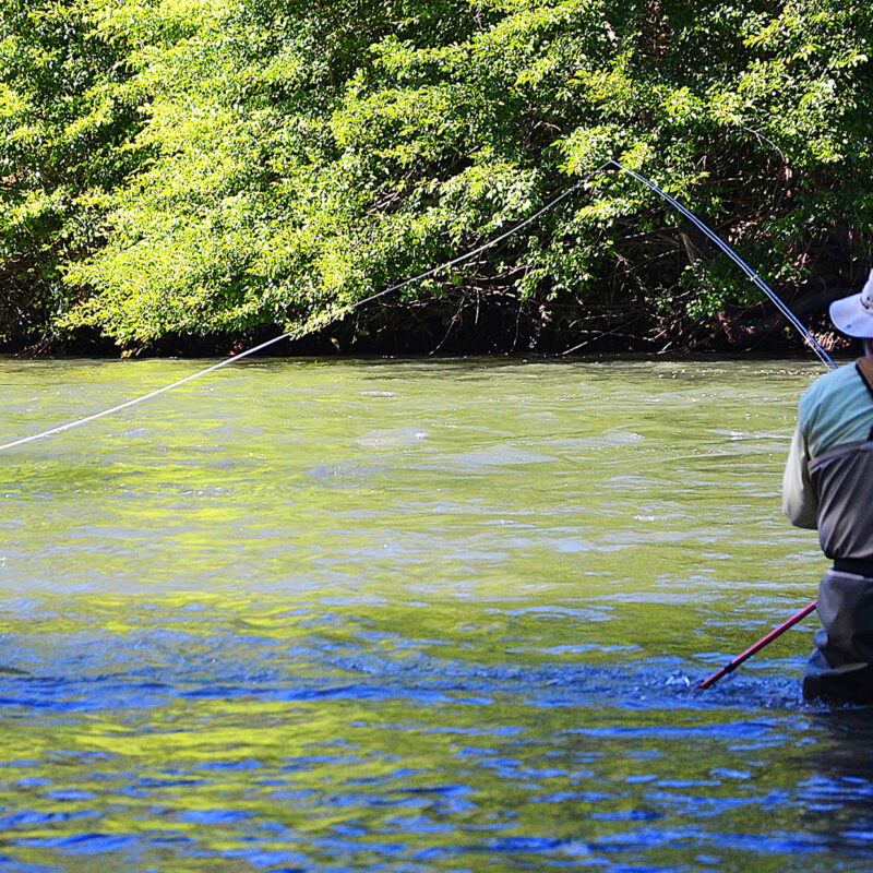 Fly fishing