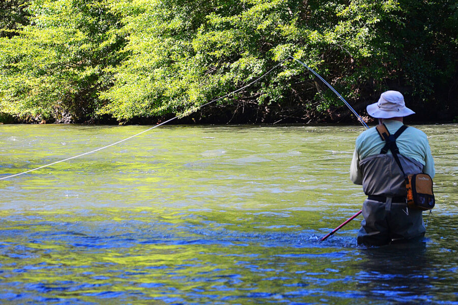 Fly fishing